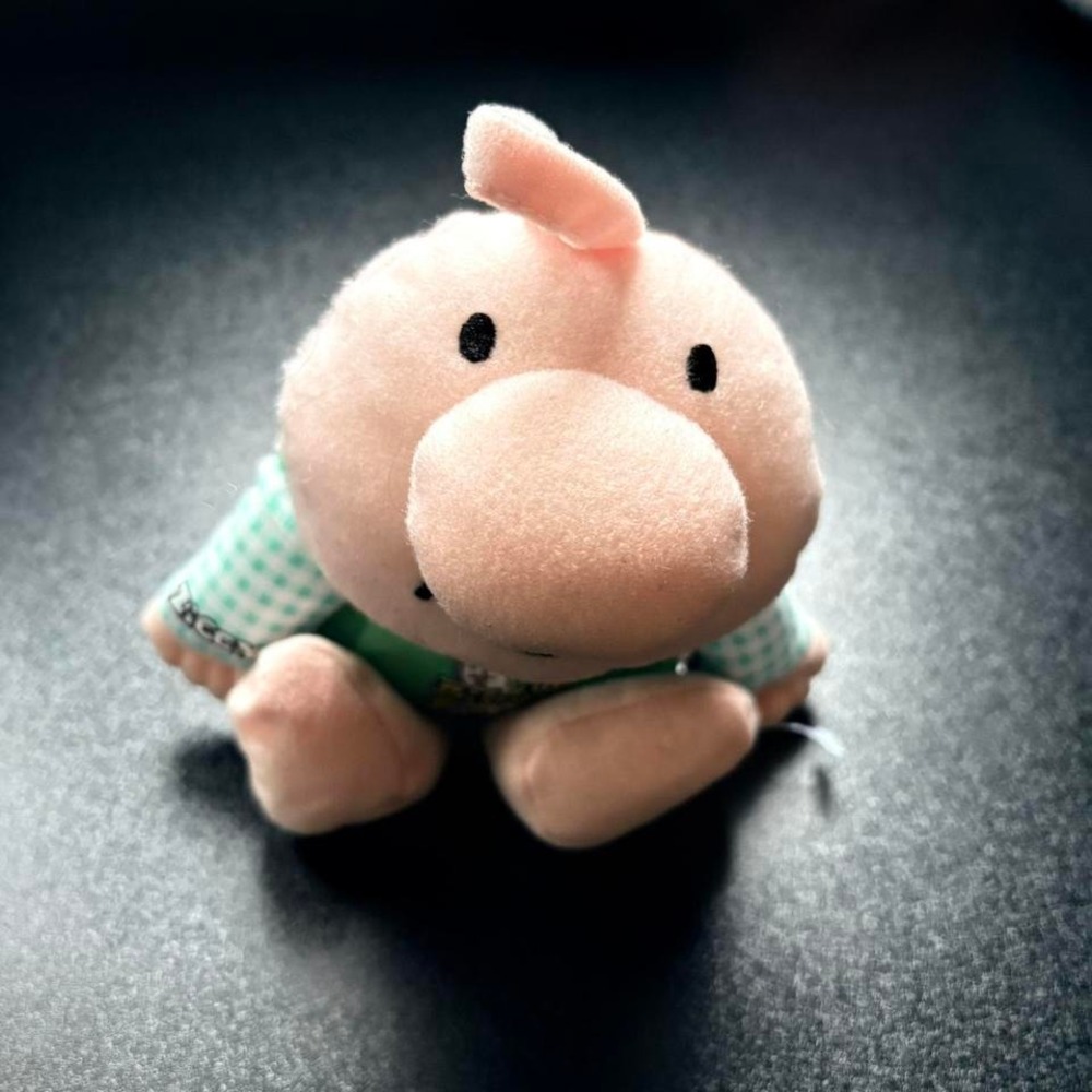 Ziggy plush toy 1998 stuffed animal kellytoy collectible‎